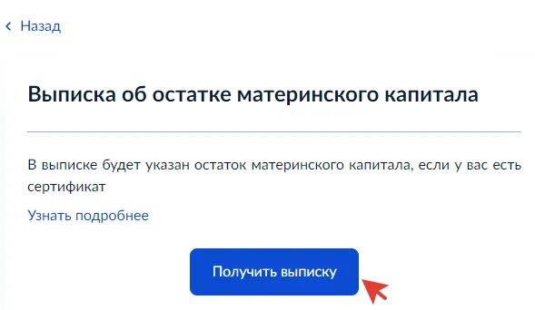 Узнать остаток материнского капитала через госуслуги