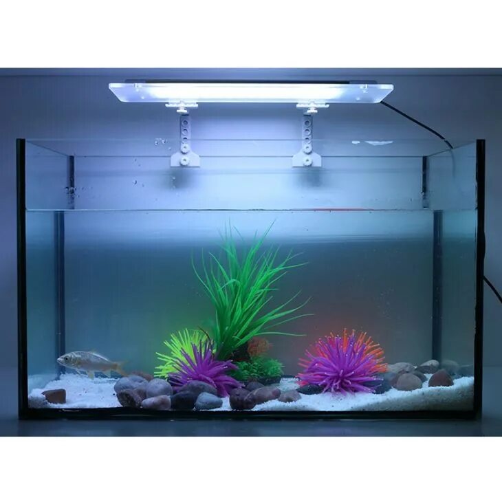Нужен рыбкам свет ночью. Подсветка для аквариума. Осветительные приборы для аквариума. Аквариум. Вертикальный аквариум с подсветкой.
