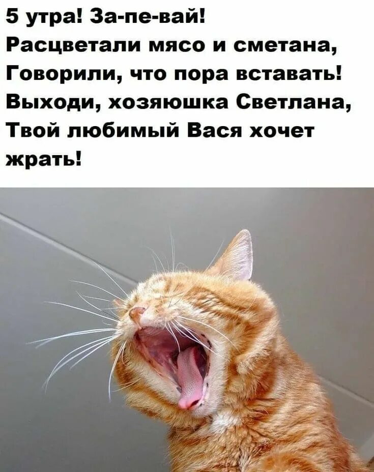 Тогда я встал и выйдя из дома