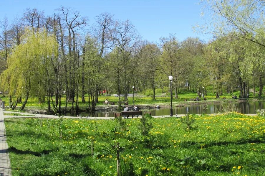 Парка 2к