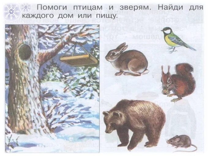Звери зимой для дошкольников. Птицы и звери зимой для дошкольников. Дикие животные зимой для детей. Как зимуют звери для дошкольников.