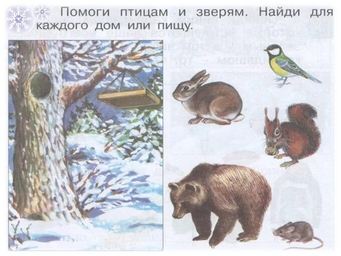 Животный мир зимой средняя группа. Зимующие животные для детей. как зимуют животные в лесу. задания звери зимой старшей группе. птицы и звери зимой для дошкольников.