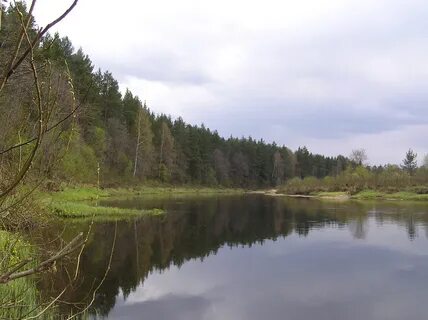 Река медведица тверская область