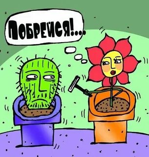 Цветы юмор