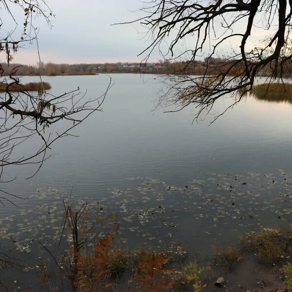 Озеро чкалова самара. 174 оз. 174 оз. Озеро чкаловское чкаловский. 174 оз.