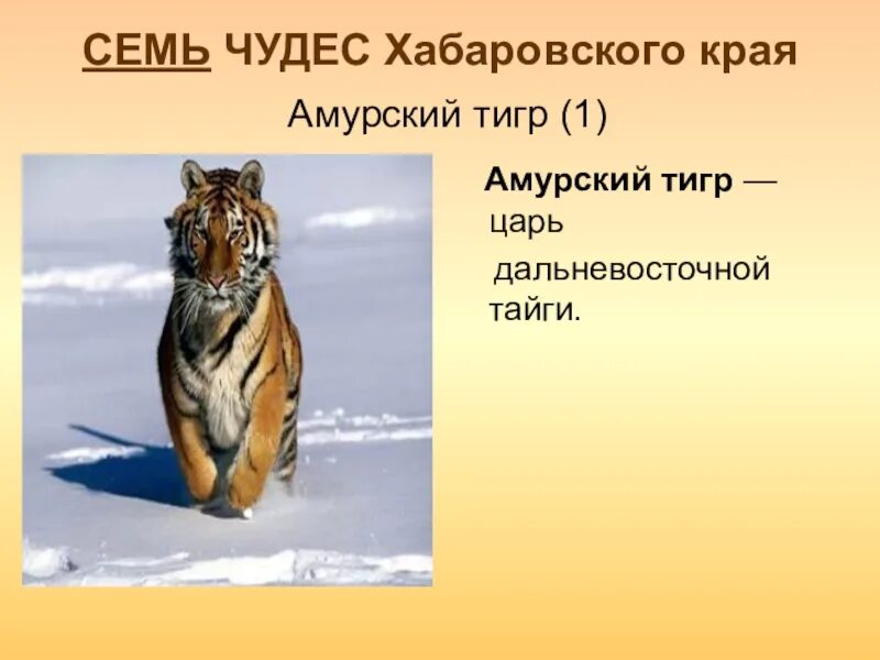 Семь чудес хабаровского края презентация