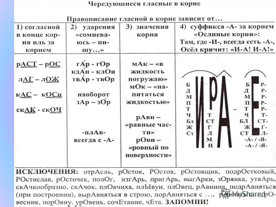 Урок чередование гласных