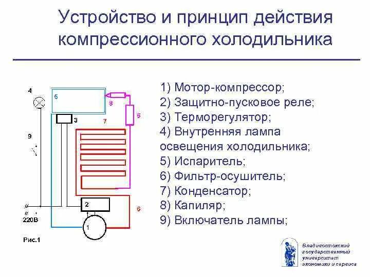 Как определить тип холодильника. Схема холодильного агрегата компрессионного типа. схема холодильного агрегата холодильной камеры. схема холодильного агрегата с испарителем внутри холодильной камеры. холодильник принцип работы схема.
