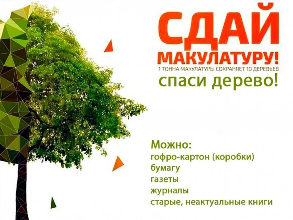 «сдай макулатуру – спаси дерево!» екатеринбург. Экологическая акция сбор макулатуры. Собери макулатуру спаси дерево. Собери макулатуру сохрани дерево. Плакат по сбору макулатуры.