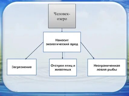 Влияние людей на озеро