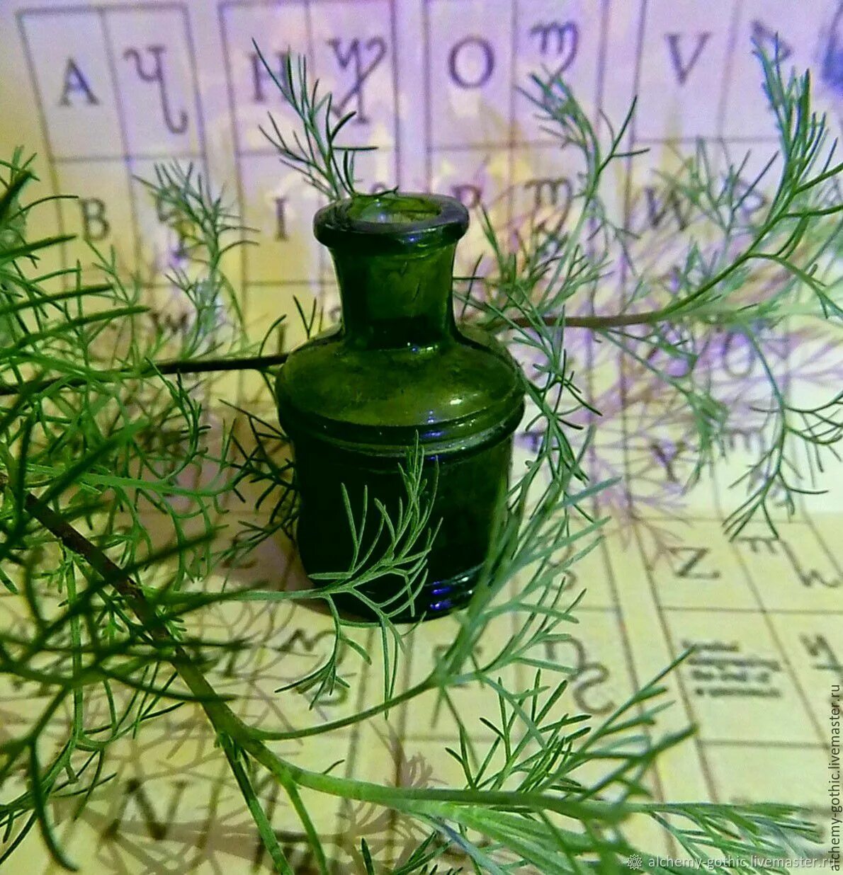 Духи полынь. Духи полынь. Сантолистная полынь. Терпкий аромат полыни риз боуэн. Полынь горькая лекарственное растение.