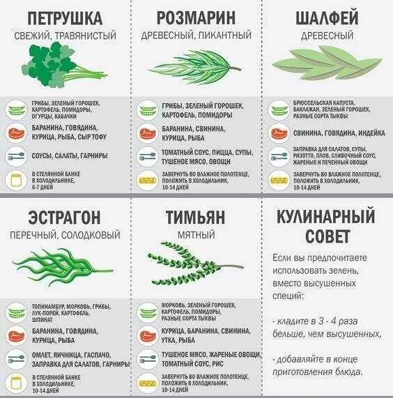В какой траве содержится. Витамины в зелени. витамины содержасщихся в укропе. что содержится в петрушке витамины. зелень богатая витаминами.