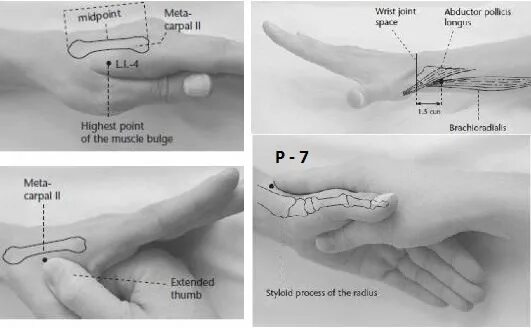 P7 точка акупунктуры. Ле Цюэ точка акупунктуры. Точка Шэнь Цюэ. Активные точки Ле Цюэ.