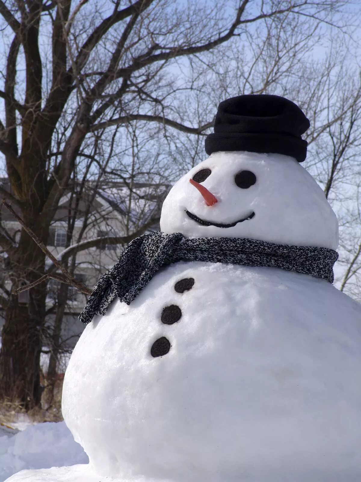 Снеговик настоящий. Снеговик из снега. Красивые Снеговики из снега. Снеговик в реальной жизни.