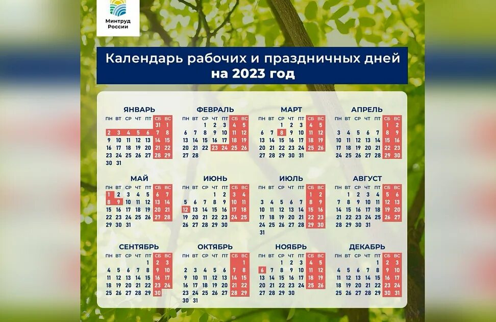 Рабочий календарь на декабрь 2023. Праздничные дни в 2023. минтруд опубликовал календарь выходных дней на 2023 год. праздничные выходные в 2023 году. график праздничных дней 2023.