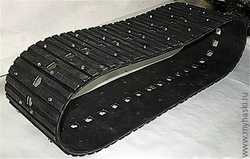 Гусеница черная гладкая хрущак. Коконопряд травяной ядовитая гусеница. Бражник бабочка и гусеница. Гусеница малинницы. Червеобразные личинки насекомых.