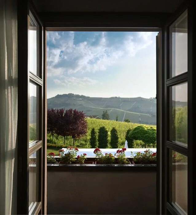 View from the window