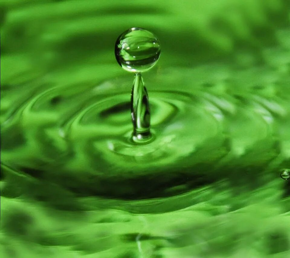 Зеленая вода. Зеленая жидкость. Воды зеленого цвета. Салатовая вода. Видеть зеленую воду