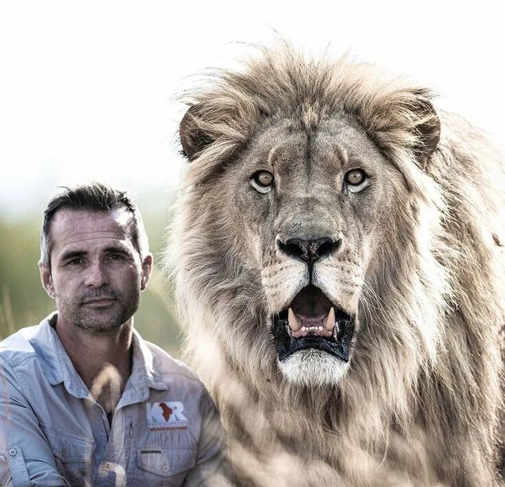 Kevin richardson&#039;s