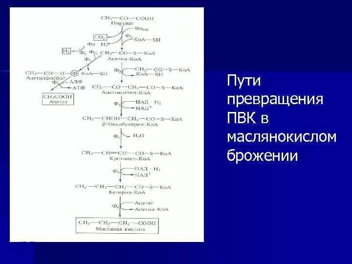 Путь преобразований