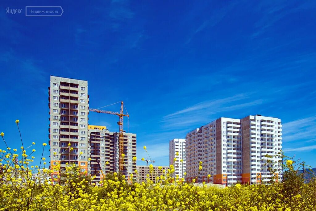 улица мурата ахеджака новороссийск. жк алексино новороссийск студия. мурата ахеджака 3 новороссийск. новороссийск жк алексино. жк алексино новороссийск.