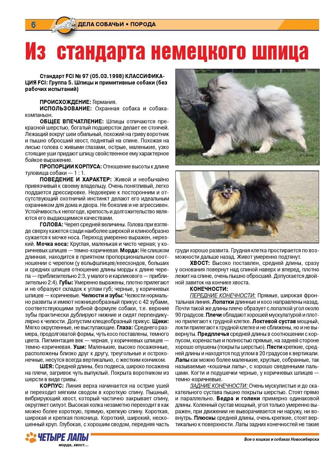 Померанский шпиц вес по месяцам таблица Размеры померанского шпица: какой вес и рост Гавкуша Дзен