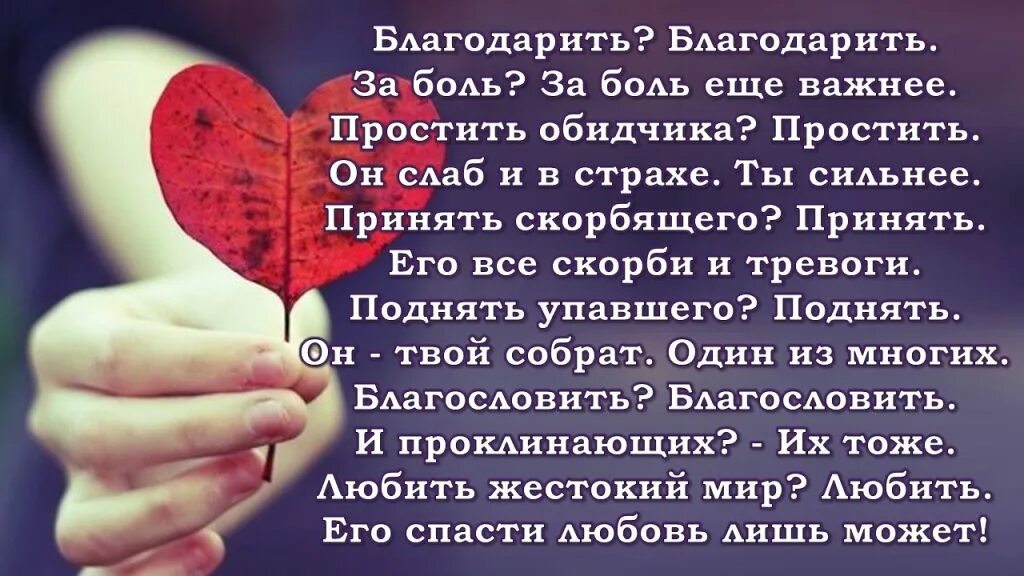 Если человек причинил боль. Прости за любовь стихи мужчине. Прости за всю боль. Благодарить благодарить за боль за боль еще важнее. Мамочка прости стих.