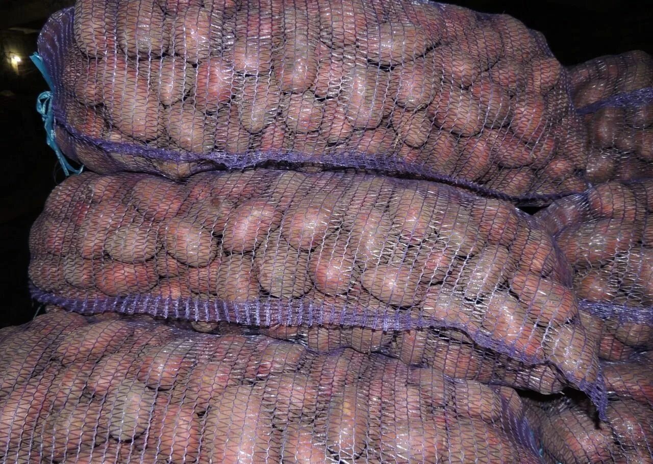 Картофель розарасеменой. Картофель Гала и Розара в сетках. Картофель сорт Розара в сетках. Картофель сетка 30 кг.