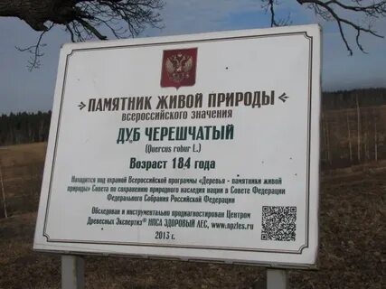 Памятник природы в городе