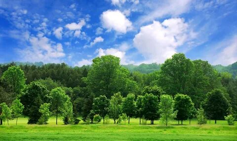 Beautiful environment