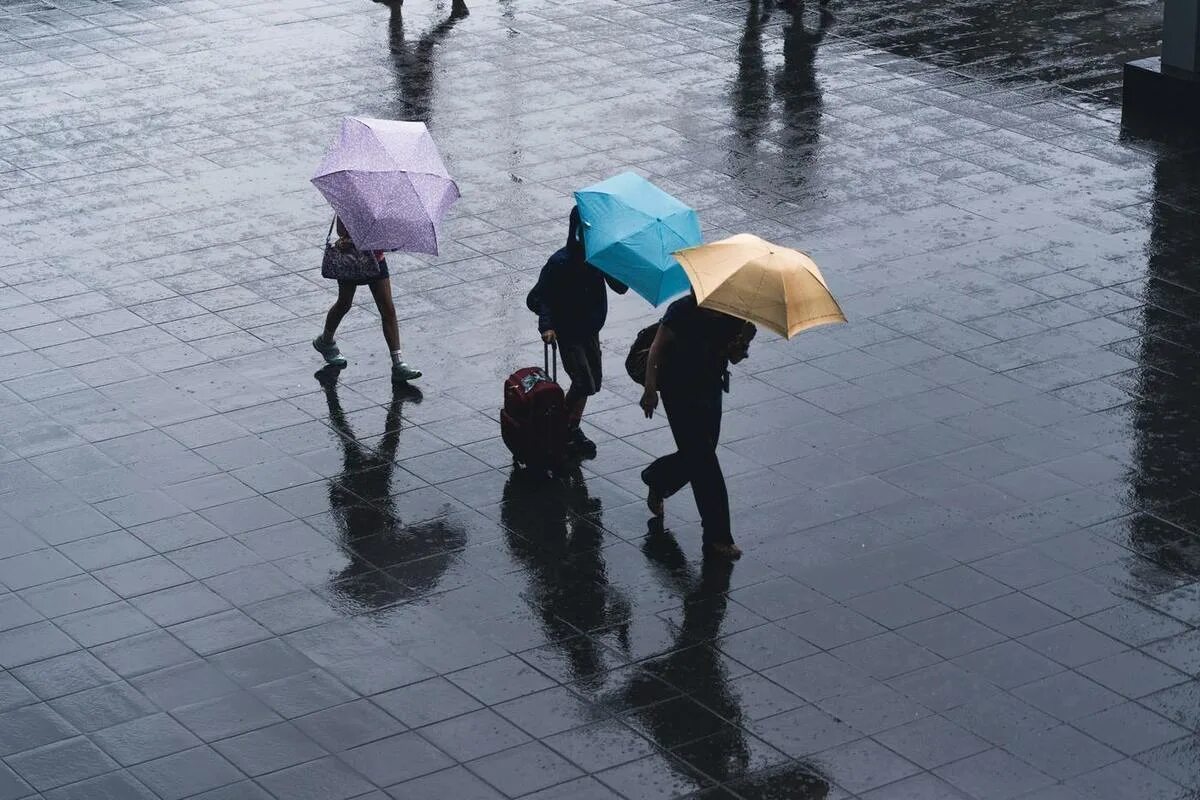 Дождливый день. Ливень. Сильный дождь. Казахстан дождь.
