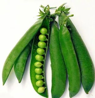 Vegetable pea