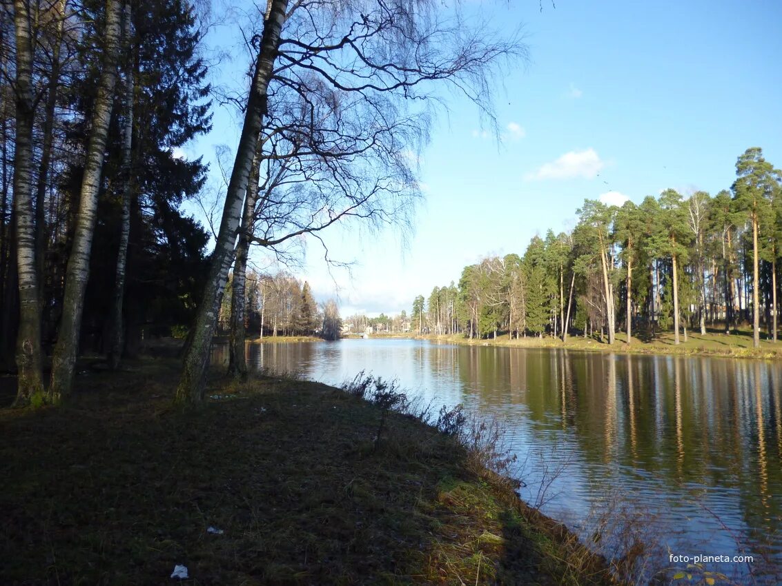 Погода в кохме ивановская область. Подслушано кохма. Подслушано кохма. Кохма жители. Стадион труд родники ивановская область.
