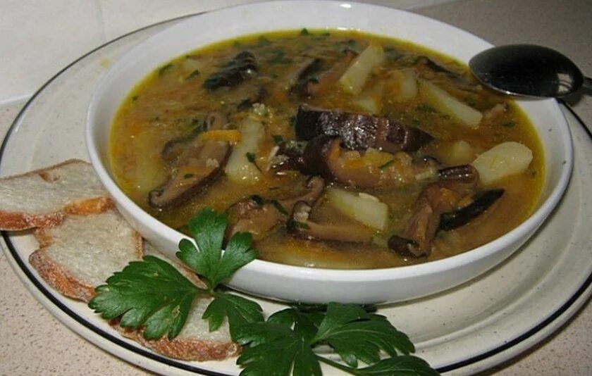 Юшка суп. Губница грибной суп. Суп грибовница. Как готовить грибовницу. Как готовить грибовницу.