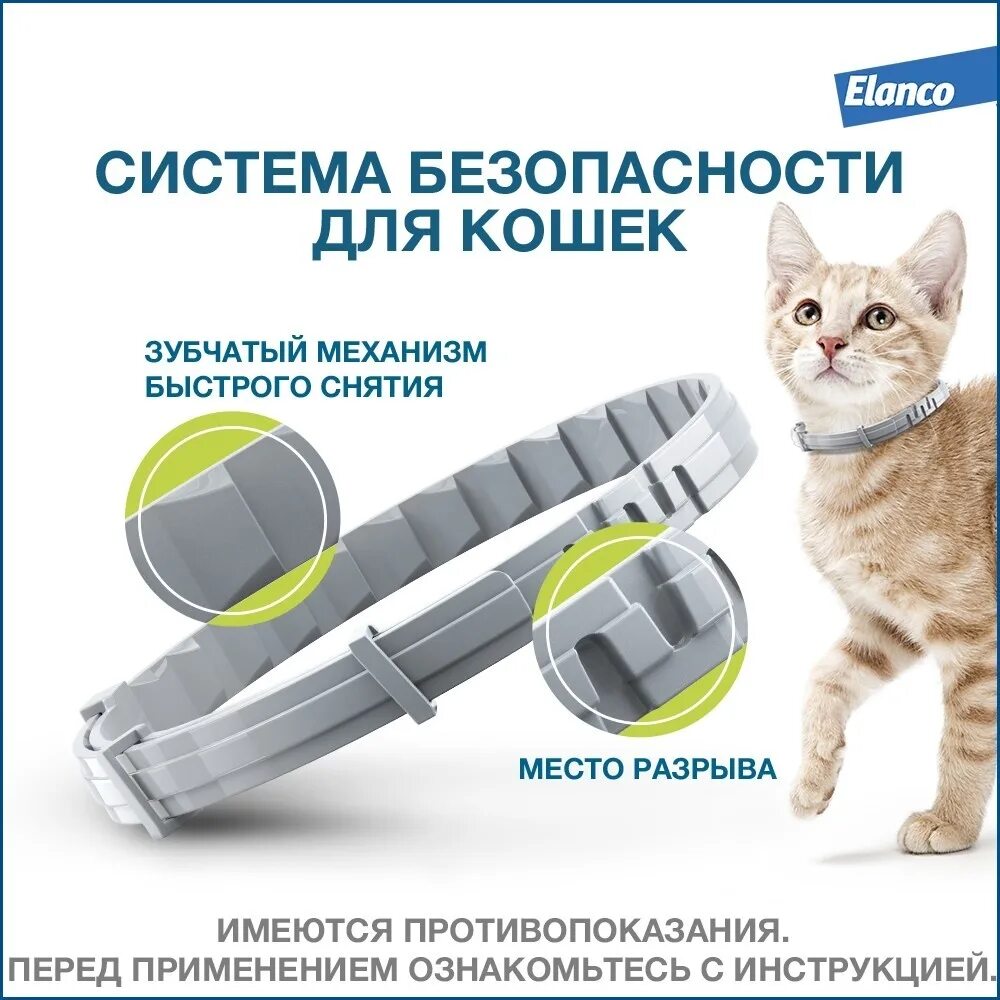 Форесто ошейник для кошек купить в москве. Bayer Foresto ошейник для кошек. Ошейник Elanco для кошек. Elanco Форесто® ошейник от клещей и блох для кошек. Ошейник от блох Foresto для кошек.