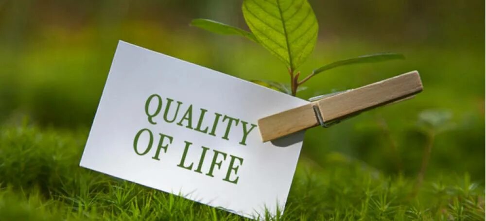 Индекс качества жизни населения. Quality of life качество жизни. "my idea of quality of life" wallpaper. Quality of life. Quality of life.
