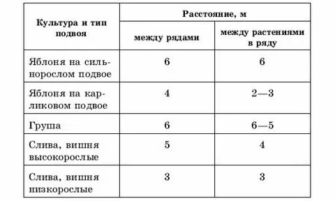 Расстояние посадки фруктовых деревьев