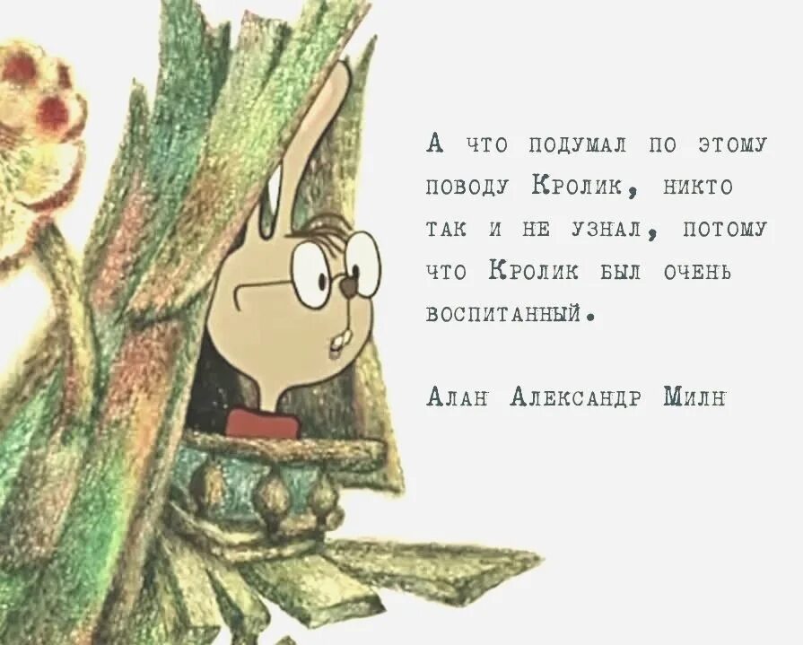А что подумал кролик. О чем подумал кролик никто не узнал. А что подумал кролик картинки. Кролик был очень воспитанный. А что подумал кролик никто не узнал потому.