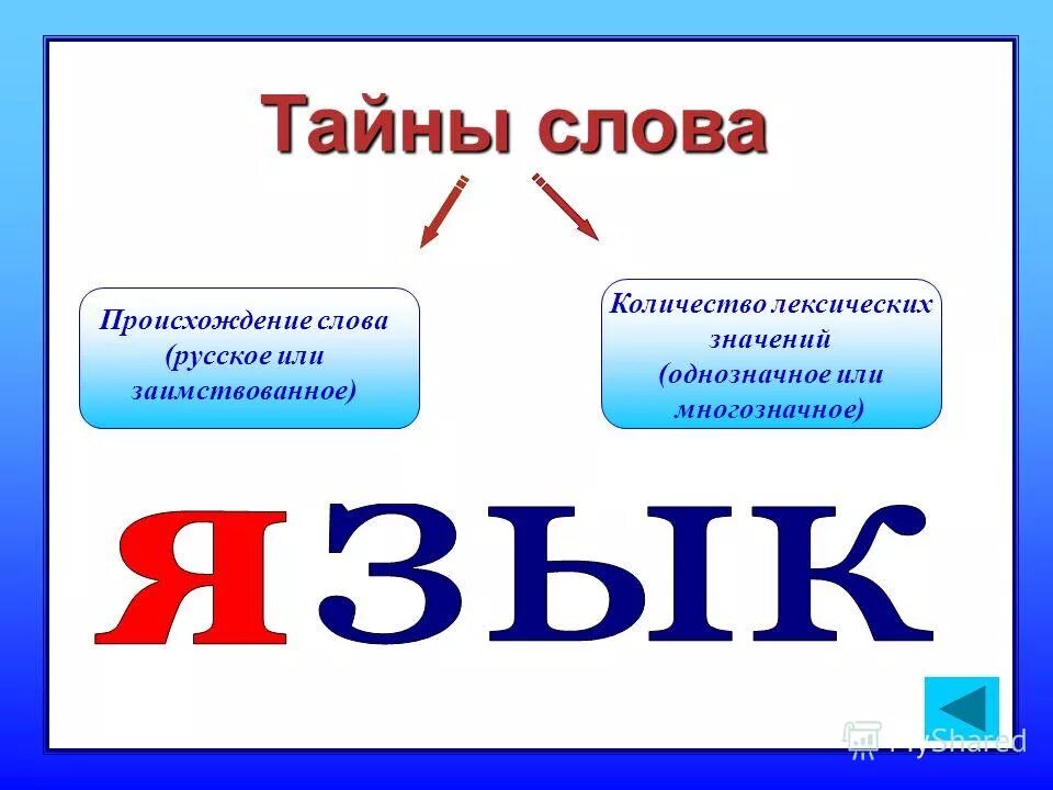 Слово тайна объясните. Тайные слова. Тайна слова. Проект тайна слова. Тайны русских слов проект.