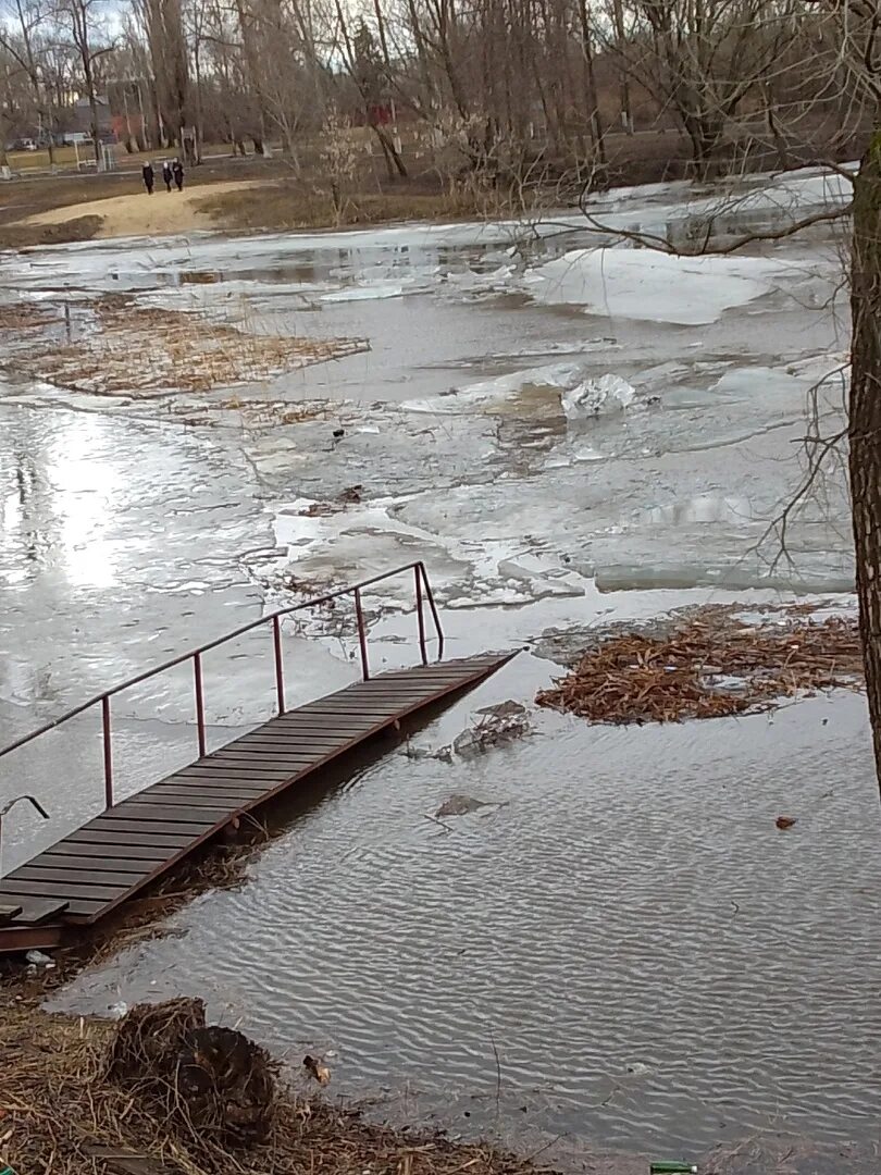 Половодье в ульяновской области. Паводок 2023. Паводок в радице крыловке. Половодье в петровске саратовская область. Радица-крыловка брянск.