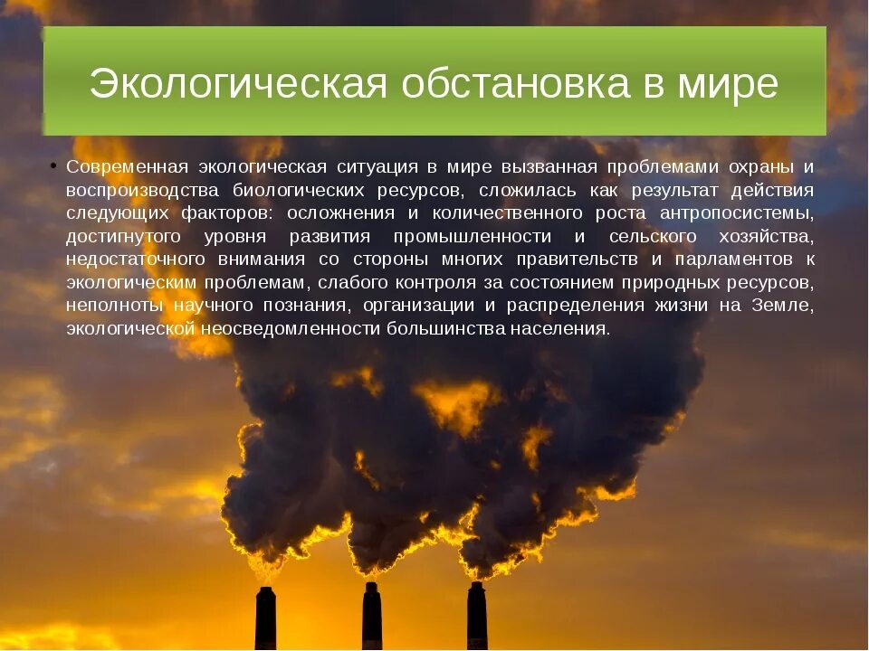 Экологический доклад