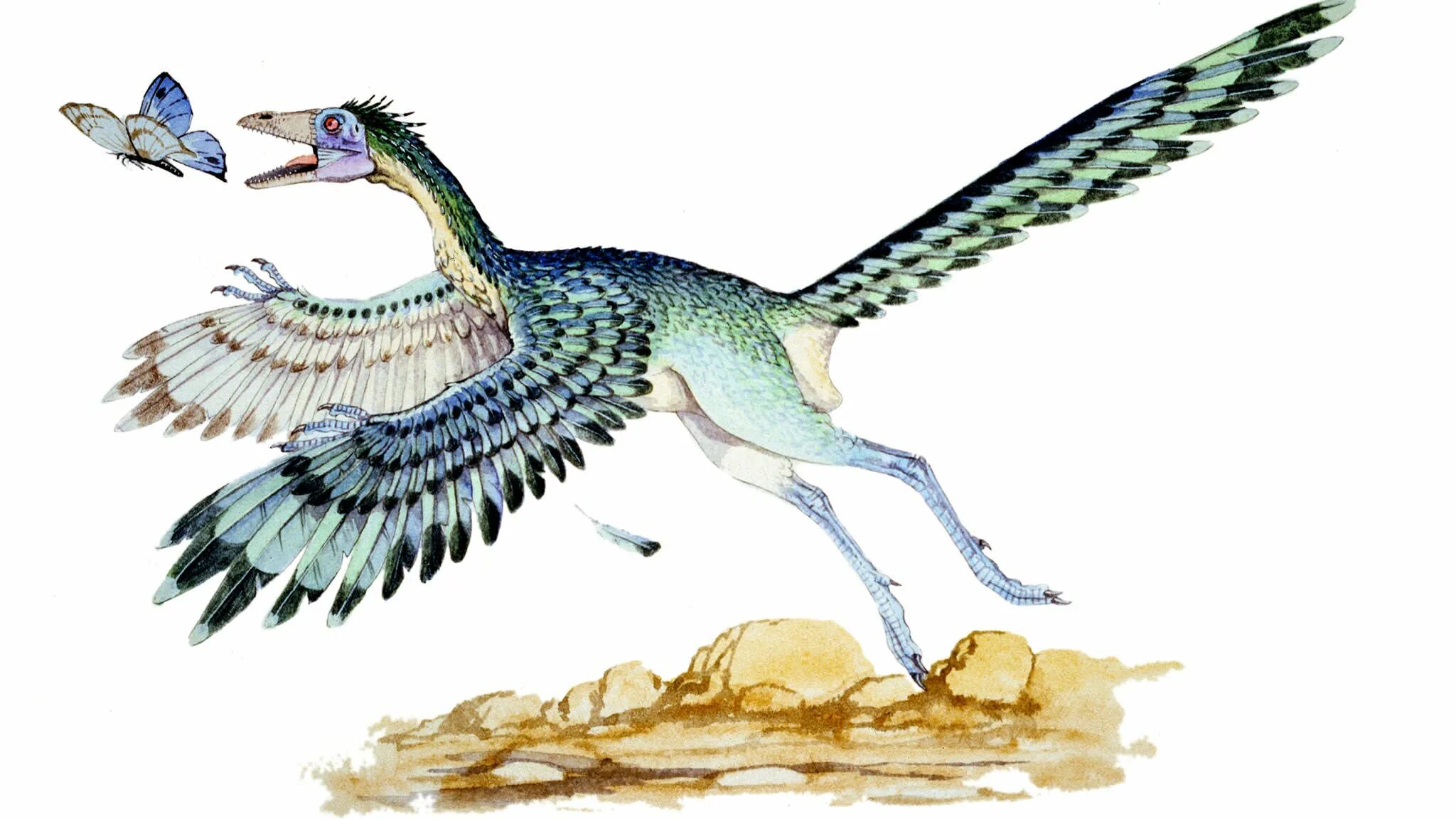 Древние птицы Археоптерикс. Юрский Археоптерикс. Археоптерикс динозавр. Предок птиц Археоптерикс.