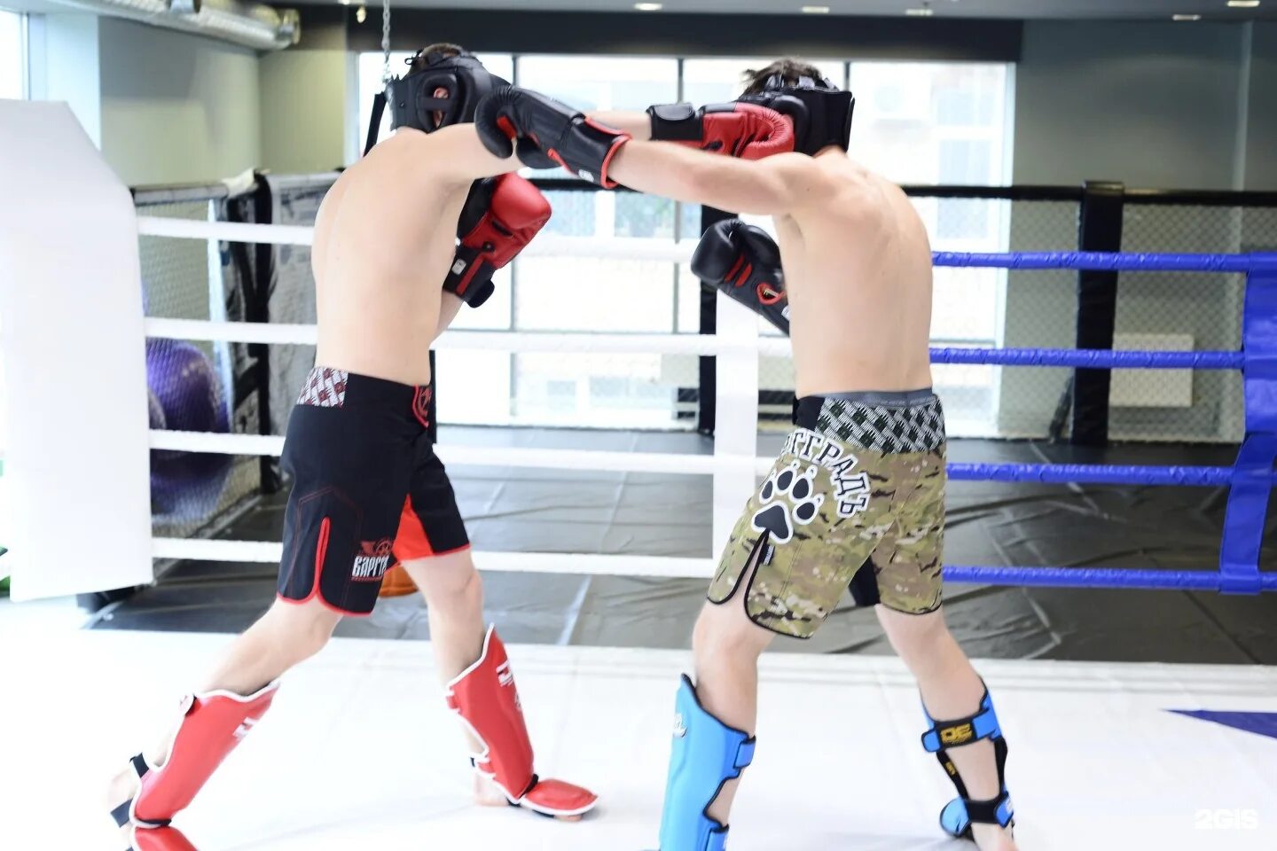 Единоборства архангельск. Единоборства архангельск. Единоборства архангельск. Смешанные единоборства архангельск. Смешанные единоборства архангельск.