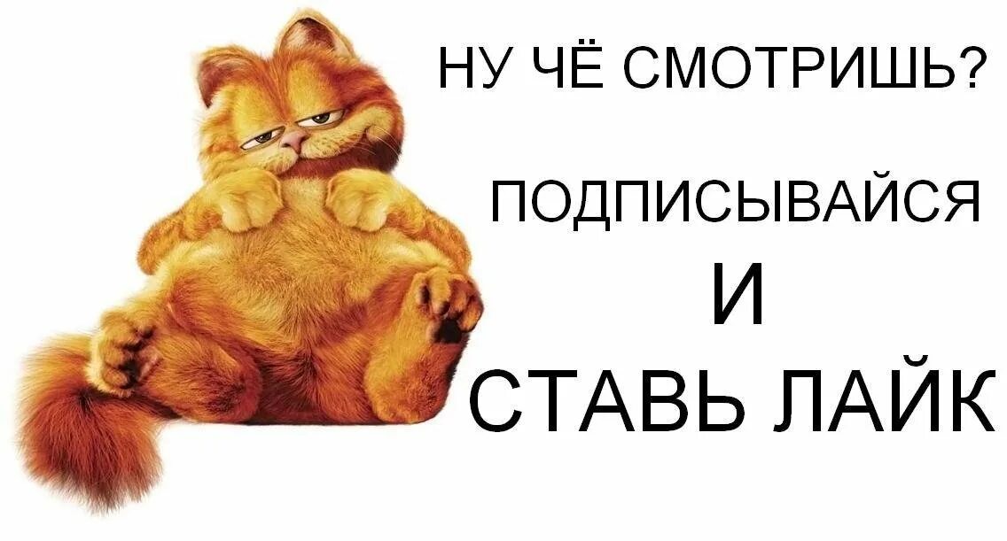 Лайк подписка. Подпишись и поставь лайк. Бро лайк поставь. Поставить лайк. Ставь лайк и подписывайся.