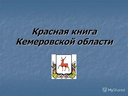 Красная книга кемеровской