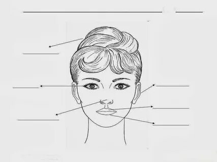 Parts of head