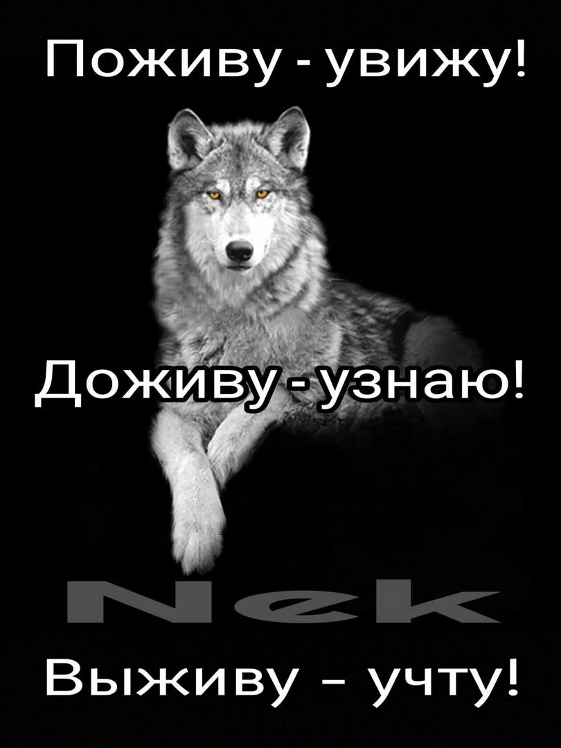 Пословица поживем увидим. Поживу увижу доживу узнаю. Доживу узнаю выживу учту. Доживу увижу выживу учту. Поживём увидим Доживём узнаем выживем.