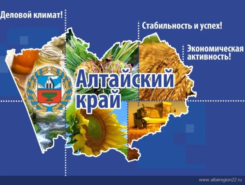 Безопасность алтайского края. Экономика родного края Алтайский край. Проект экономика Алтайского края. Экономика Алтайского края проект 3 класс окружающий мир. Экономика Алтай кого кра.