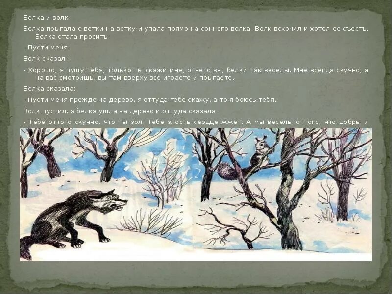 Рассказ белка и волк. Сказки Льва Николаевича Толстого белка и волк. Л. Н. толстой «белка прыгала с ветки на ветку...». Иллюстрация к сказке белка и волк. Волки и елки.
