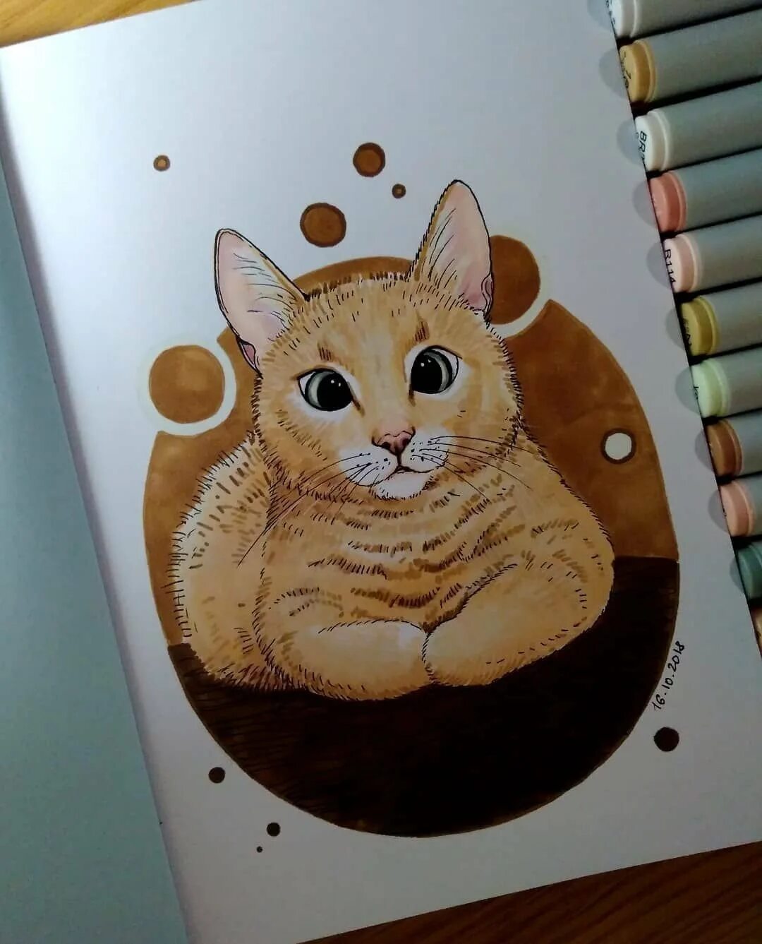 Коты маркерами. Идеи для рисунков. котик маркерами. рисунки маркерами. котик рисунок.